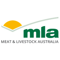 MLA