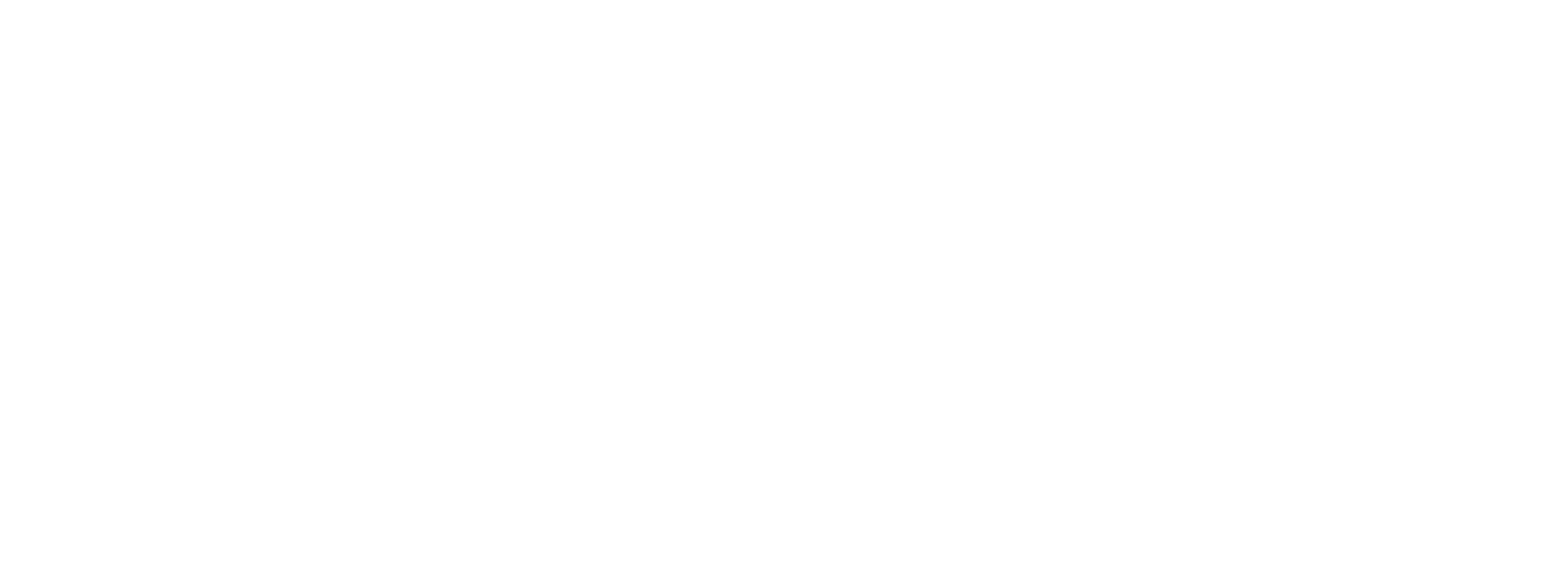 Geonetric